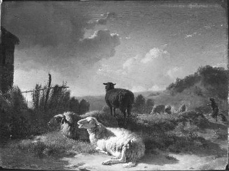 Un gregge di pecore in un paesaggio montuoso - Amsterdam Museum
